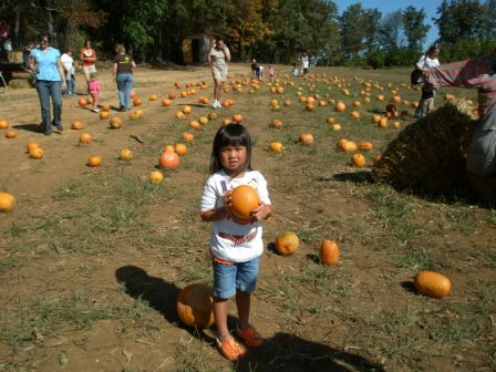 Kasen choosing a pumpkin